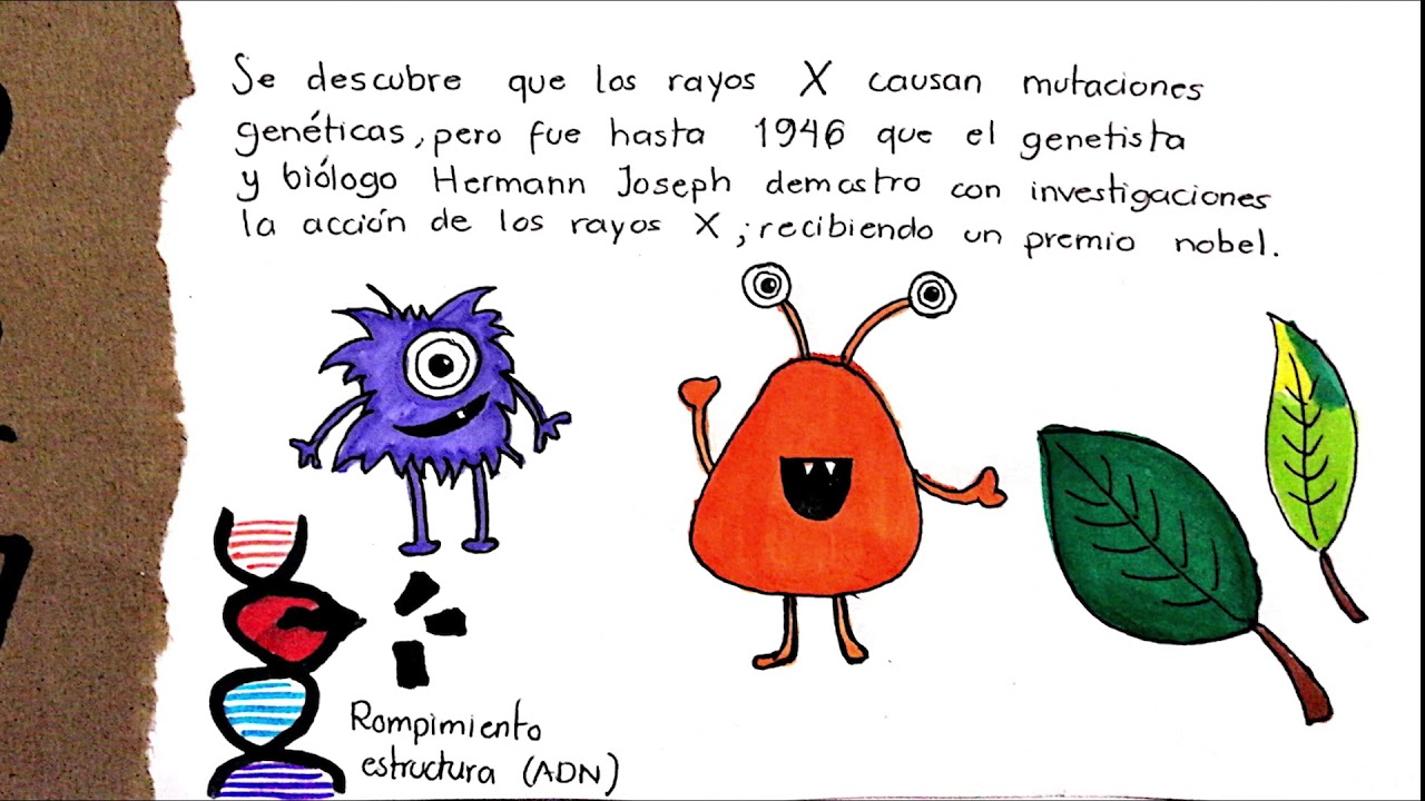 linea del tiempo de los avances de la biologia