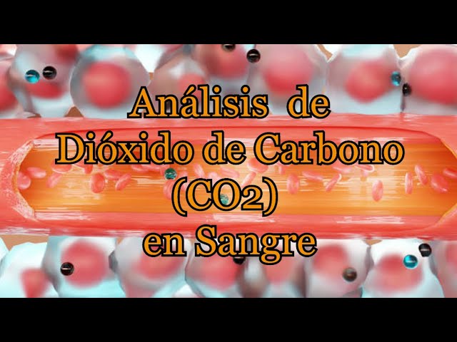 niveles bajos de dióxido de carbono en la sangre