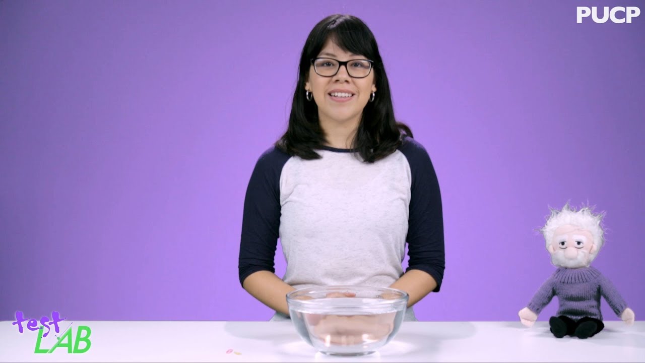 por que un insecto puede caminar sobre la superficie del agua
