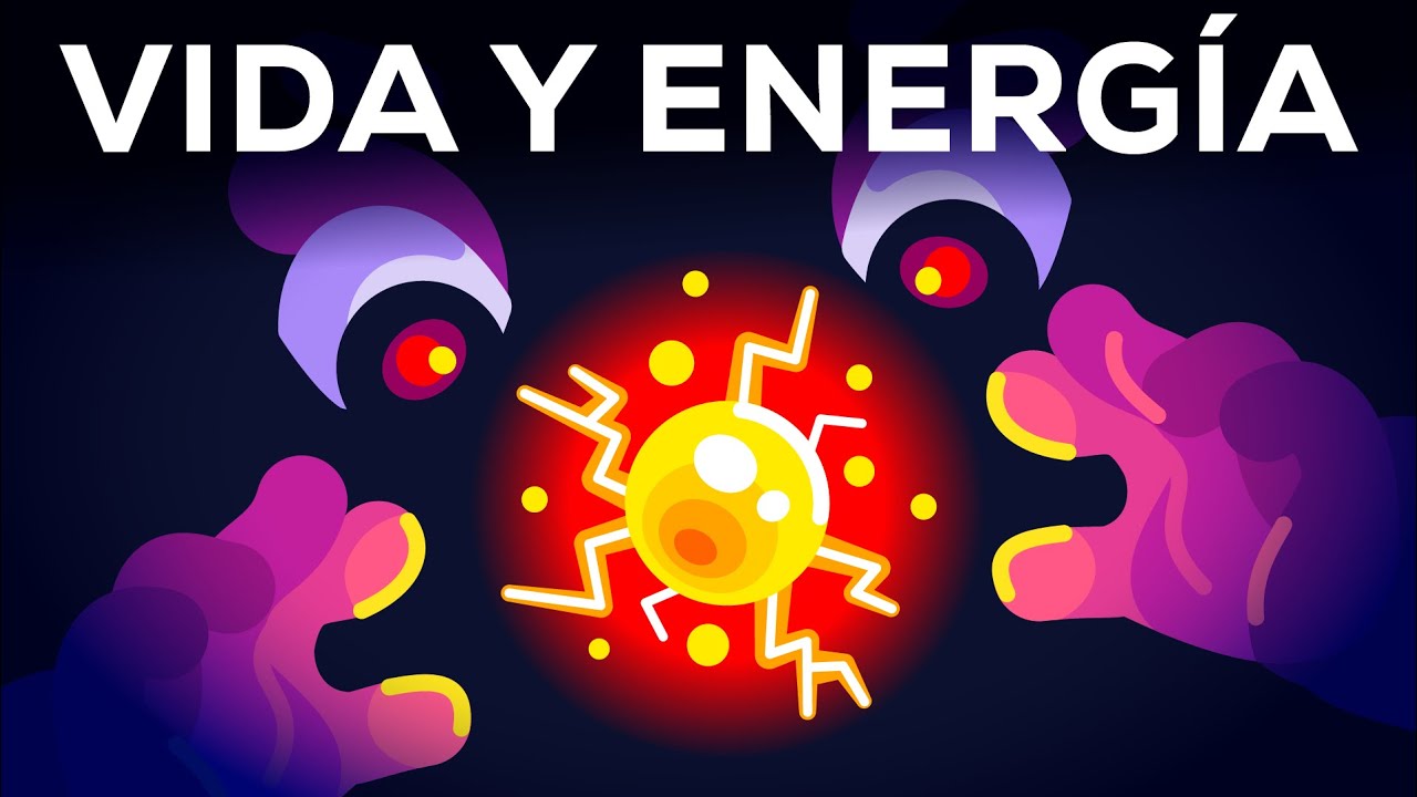 porque es importante la energía para los seres vivos