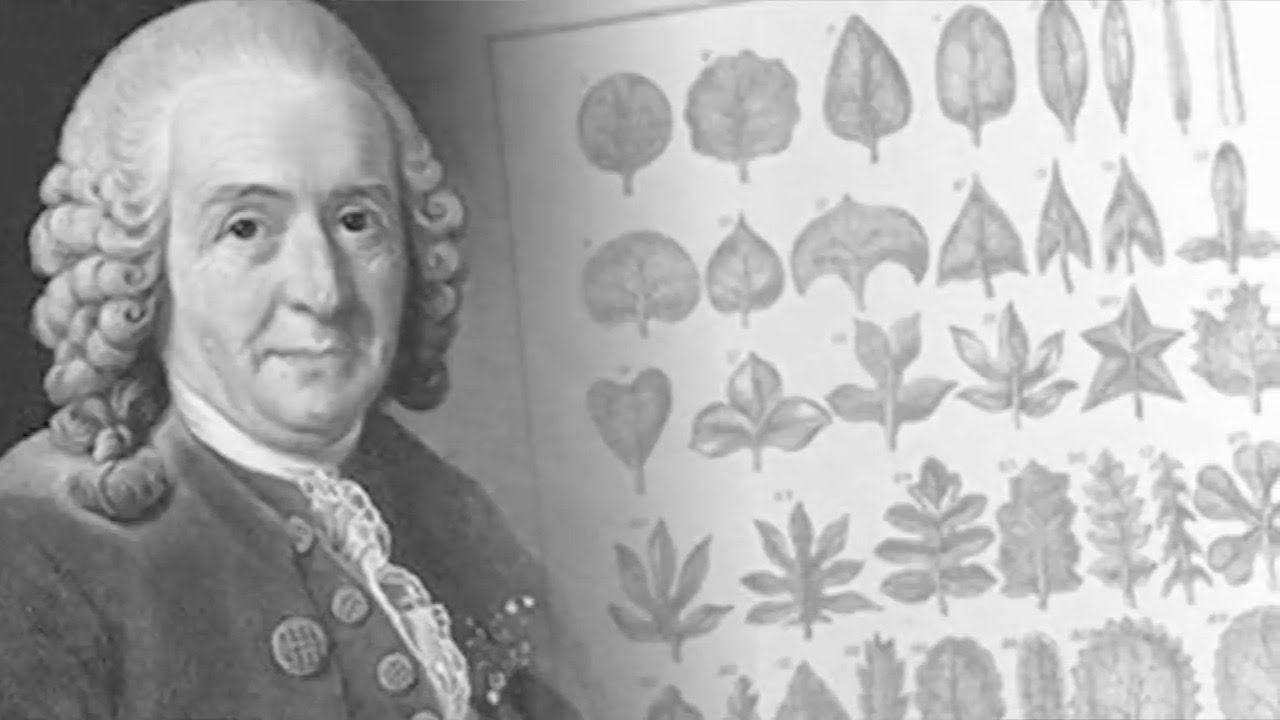 que significa la primera palabra del nombre cientifico de las especies
