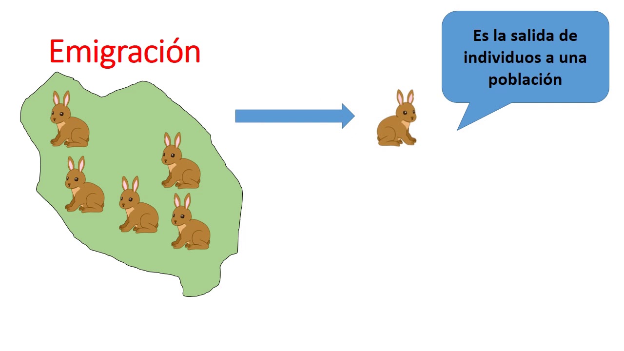 que son las caracteristicas morfologicas de las poblaciones