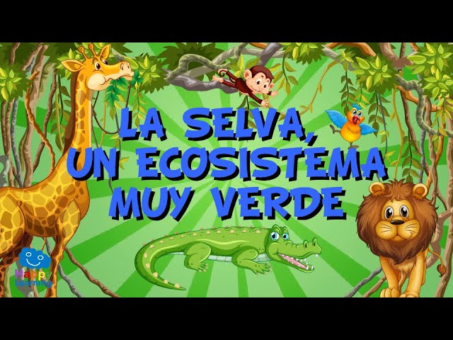 relaciones entre componentes naturales de la selva
