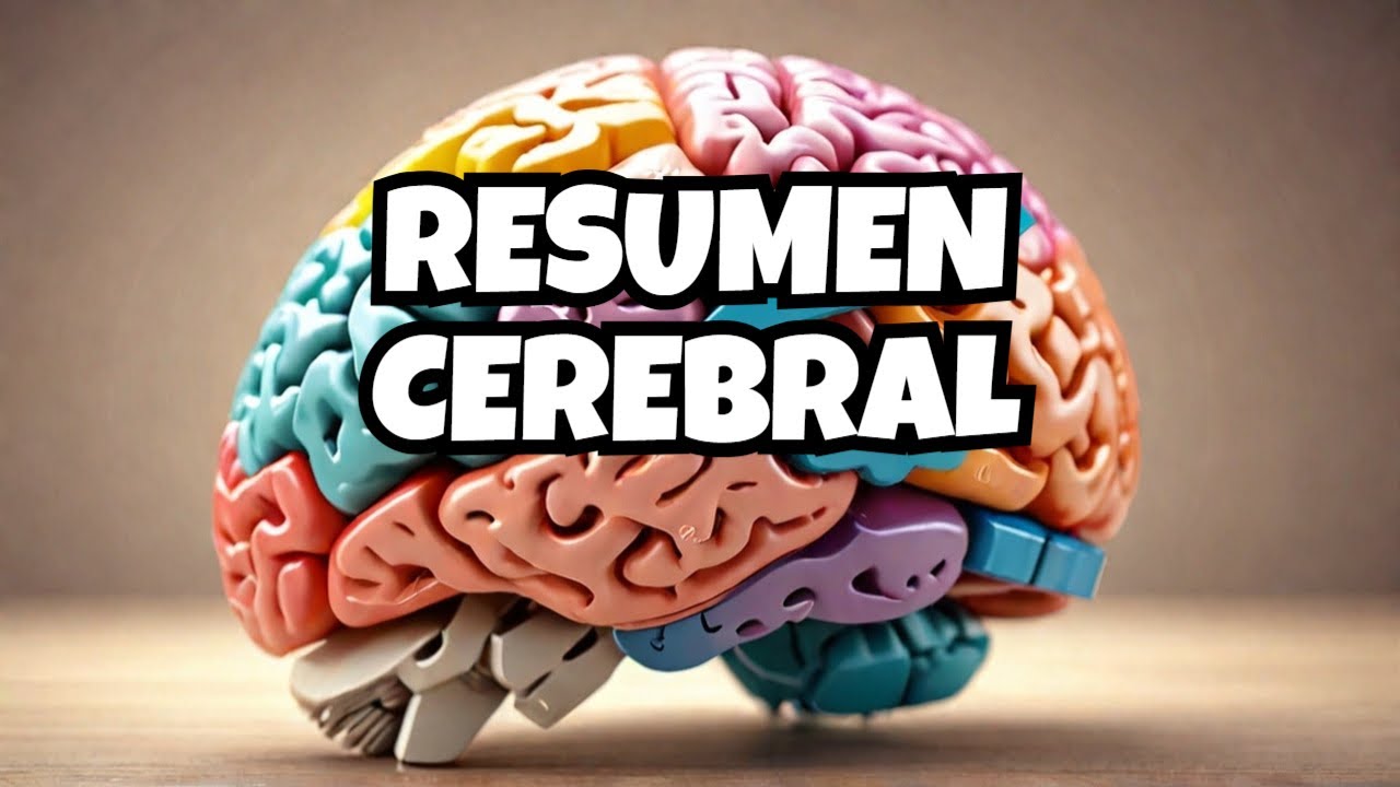 son características del cerebro excepto una
