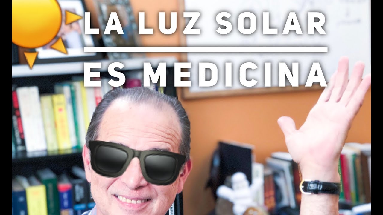 son los que permiten absorber la luz solar
