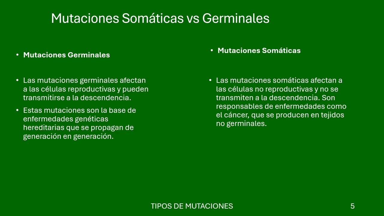 actividad 3 ¿las mutaciones producen enfermedades?