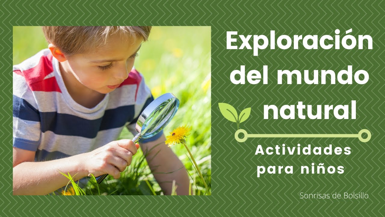 actividades mundo natural en preescolar