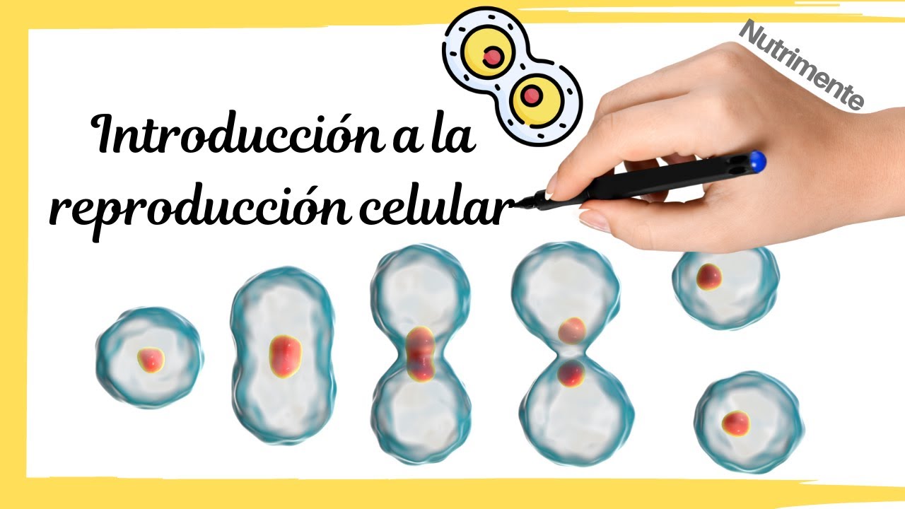 avances tecnologicos en la reproduccion celular