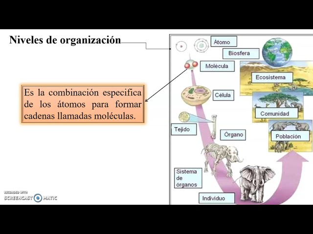 biologia la vida en la tierra con fisiologia