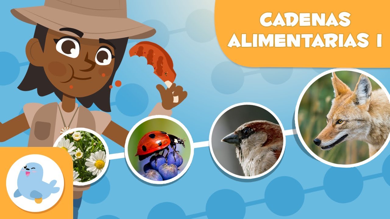 cadena alimenticia de la selva seca