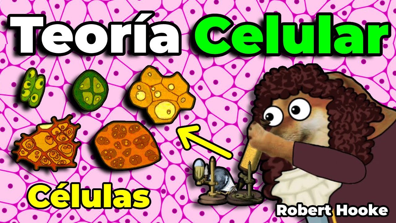 características de la teoría celular