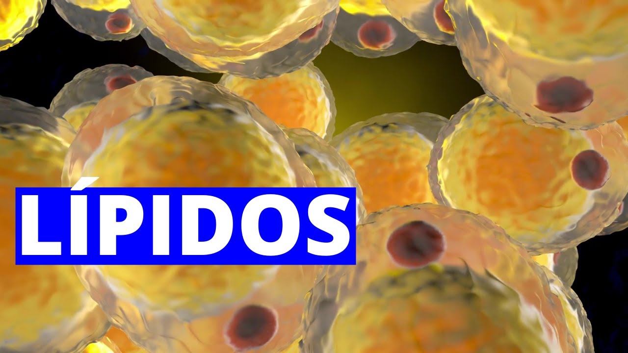 características estructurales de los lipidos