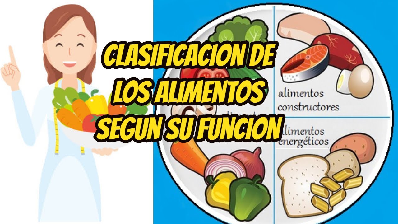 clasificación de los alimentos según su composición