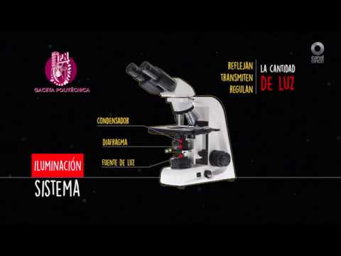 como estan hechos los microscopios opticos