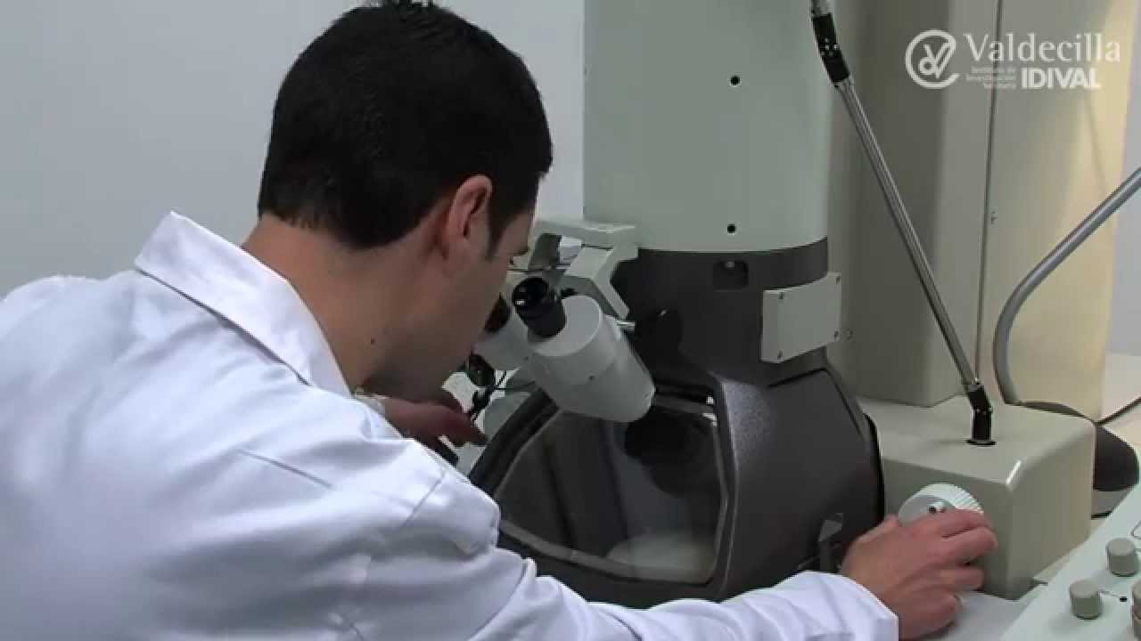 como funciona el microscopio electronico de transmision