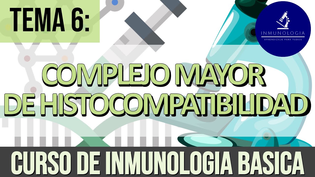 complejo mayor de histocompatibilidad clase 2