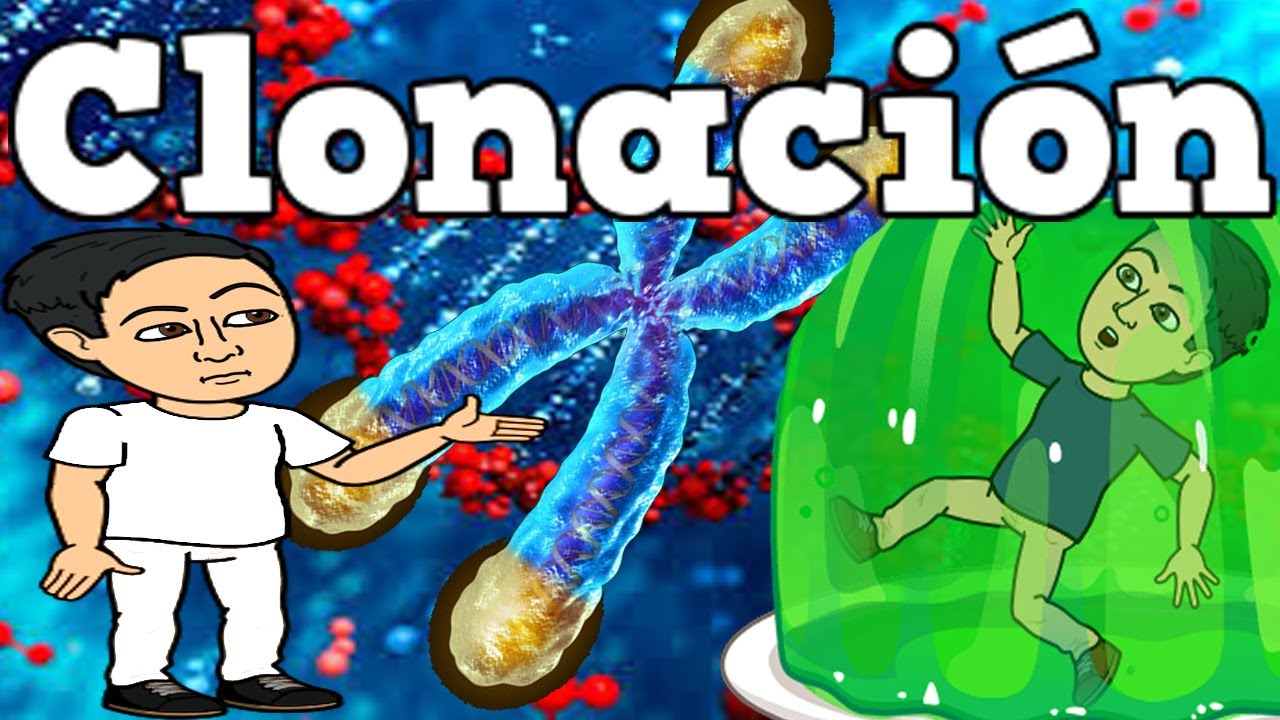 consecuencias negativas de la clonación