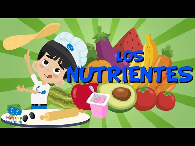 cuál es la función de los nutrientes