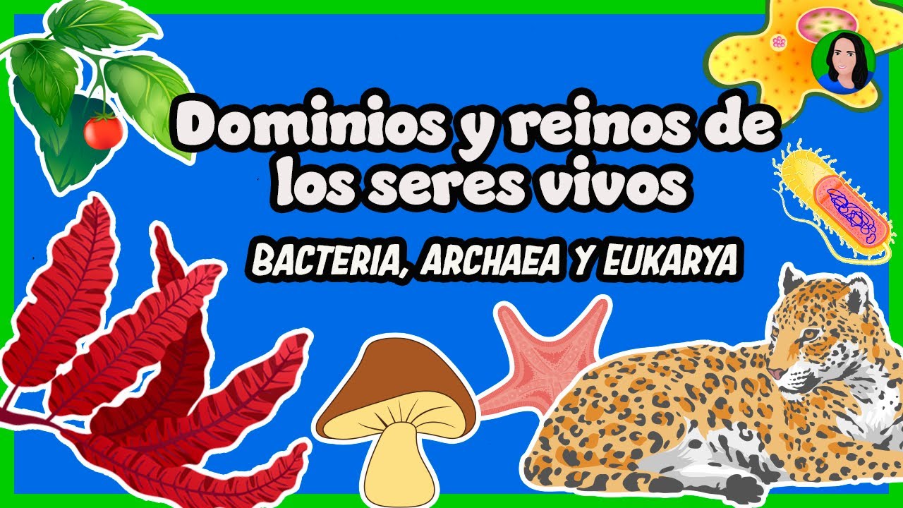 cuales son los reinos que conforman el dominio eukarya