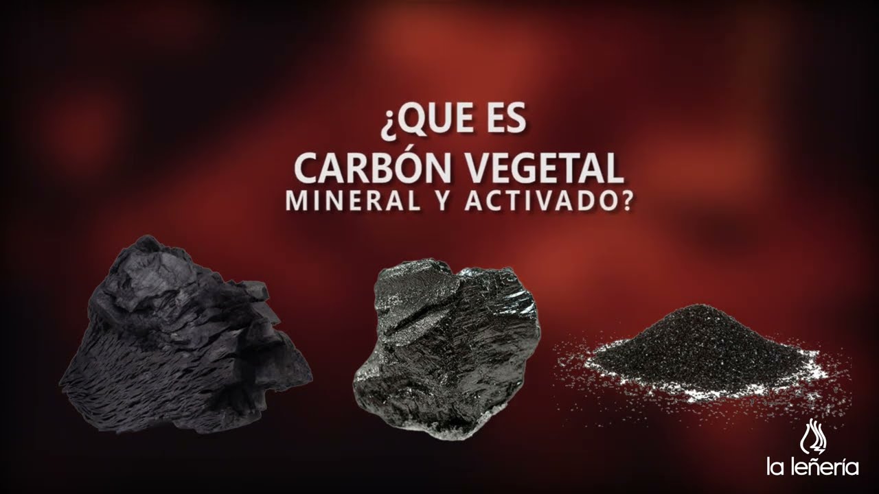 diferencia entre carbon mineral y vegetal