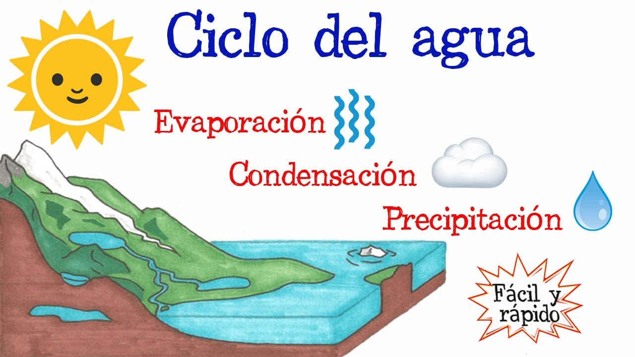 el ciclo del agua facil de dibujar explicado