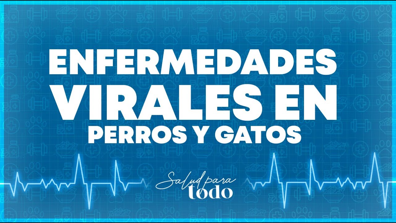 enfermedades virales en los animales