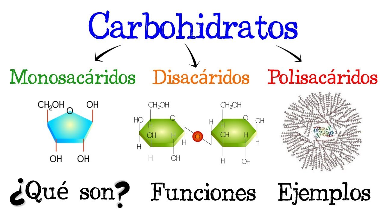 es el monosacárido más importante para los seres vivos