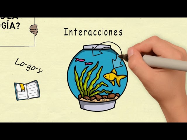 es un ejemplo de objeto de estudio de la ecología