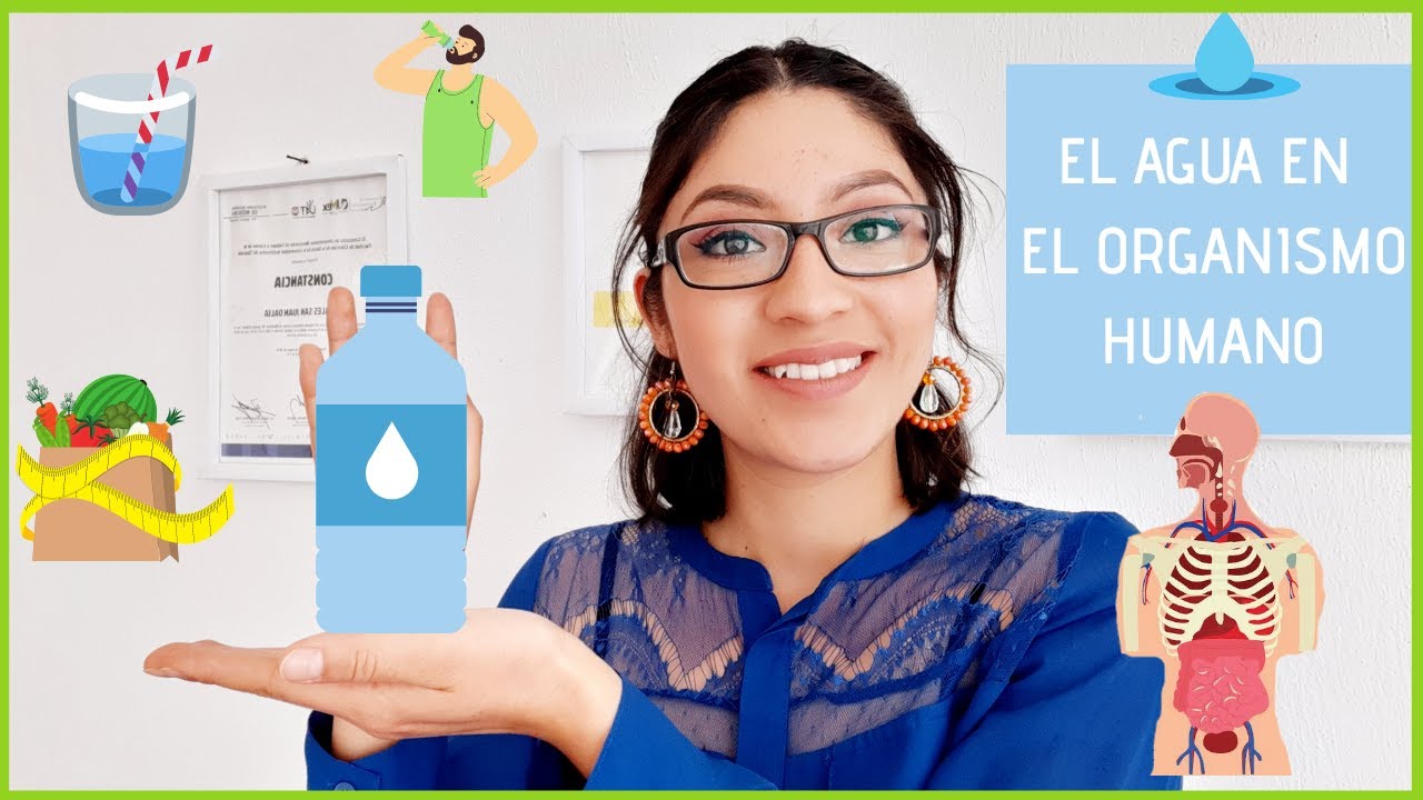 escribe una lista de las funciones del agua en el cuerpo