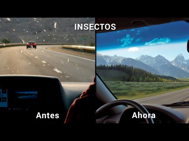 estimacion del tamaño de la poblacion de insectos