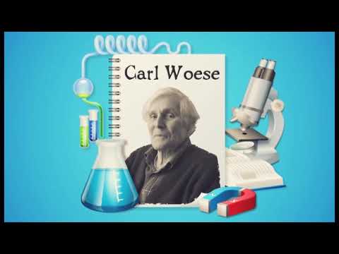 estructura filogenetica de carl woese