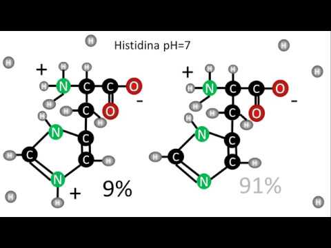 estructura quimica de la histidina