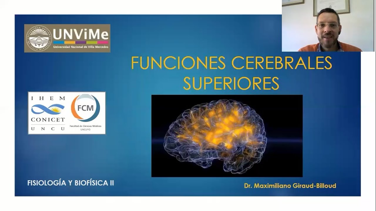 funciones superiores del sistema nervioso