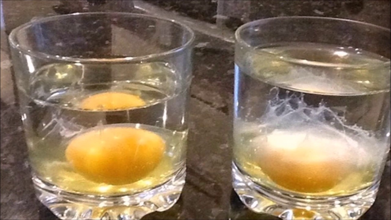 huevo en vaso de agua que significa