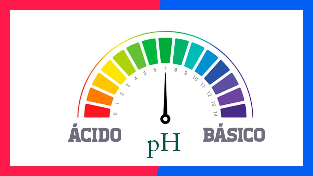 importancia del ph en la vida cotidiana ejemplos