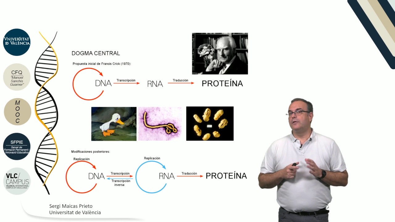 introduccion de laboratorio de biologia
