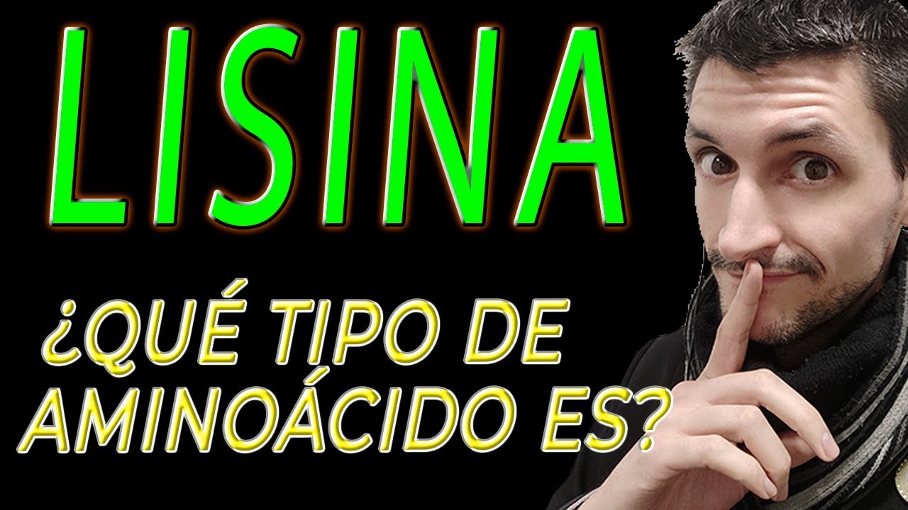 lisina funcion en el cuerpo humano