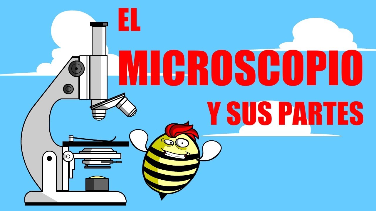 microscopio caricatura con sus partes