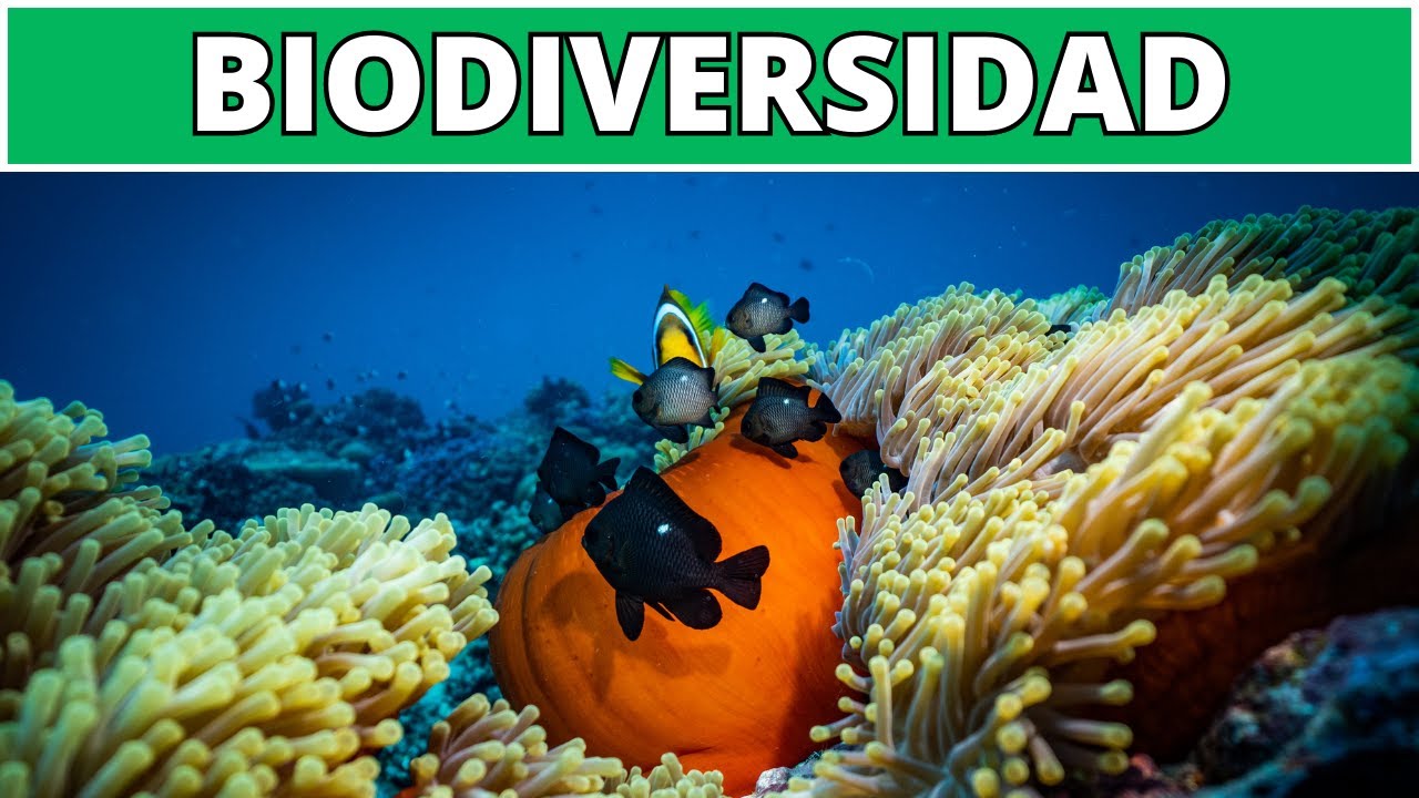 niveles de estudio de la biodiversidad