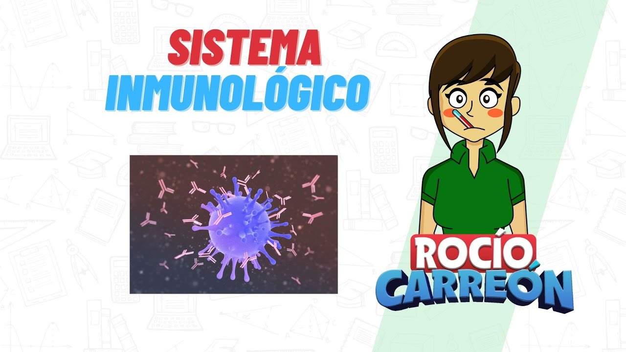 nombre de los órganos que forman parte del sistema inmunológico