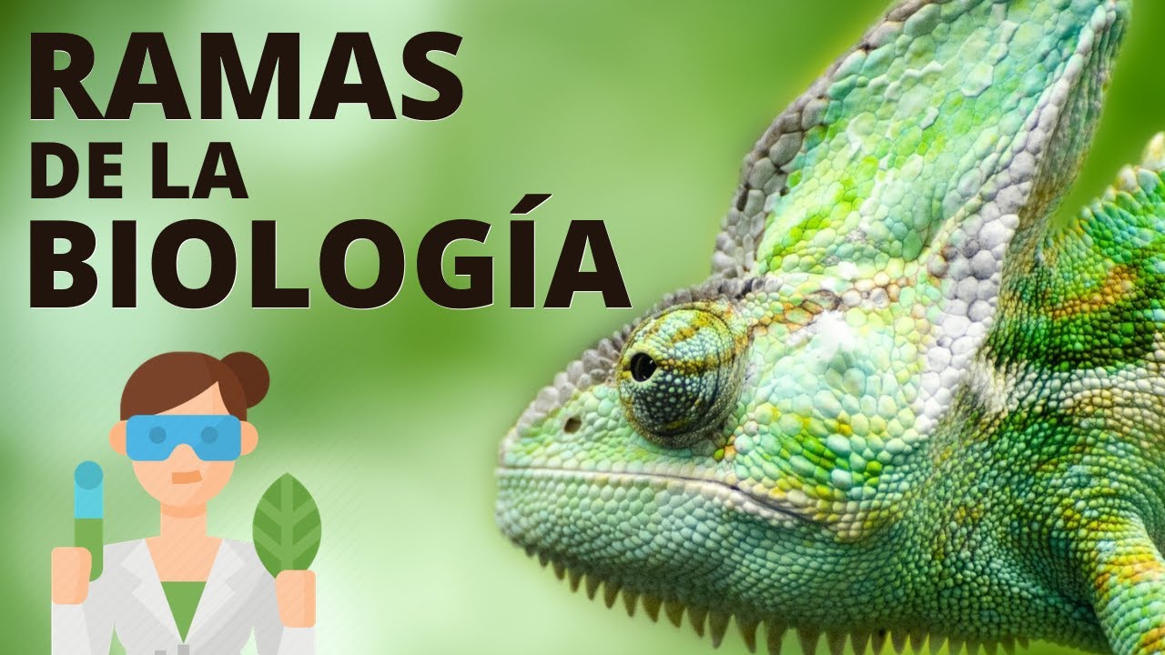 para que sirven las ramas de la biologia