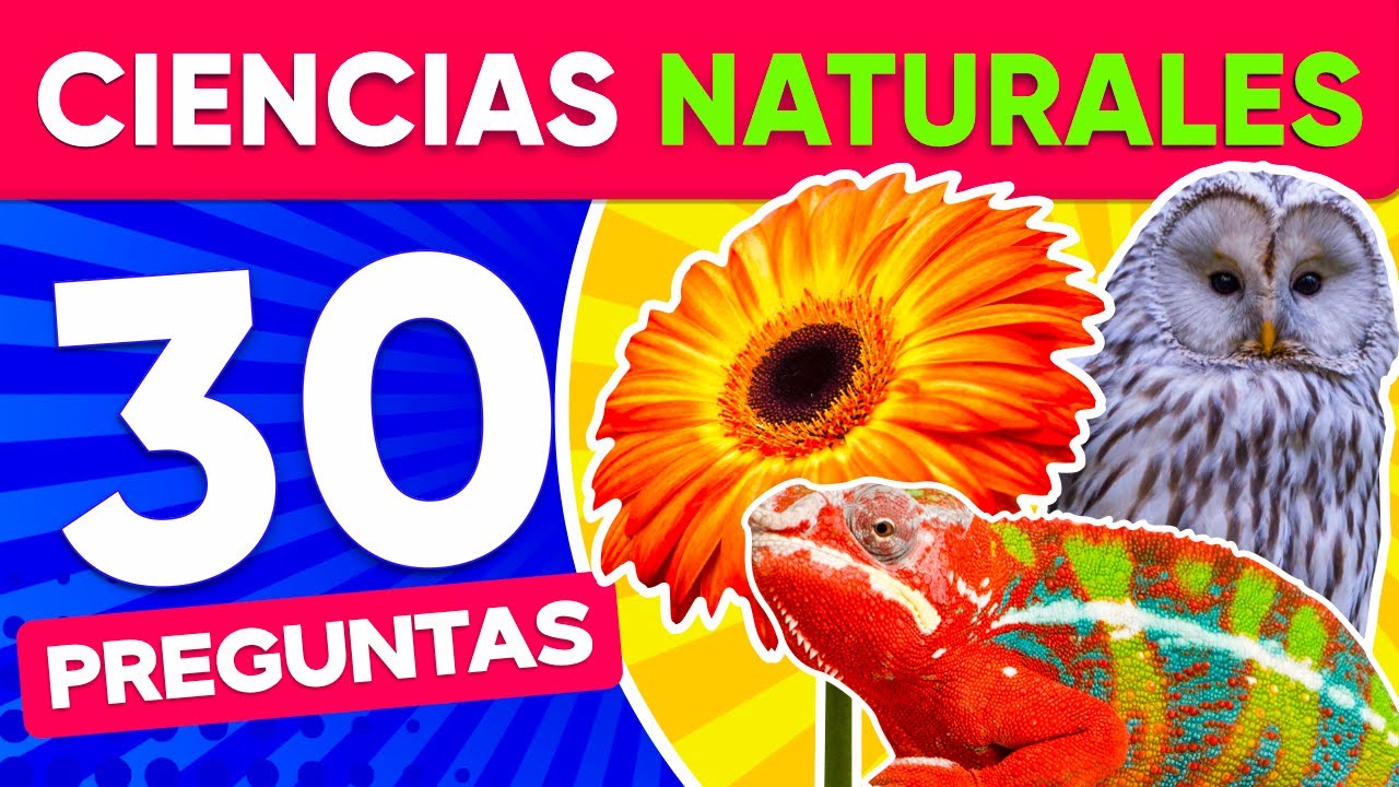 preguntas y respuestas de ciencias naturales de 6° grado