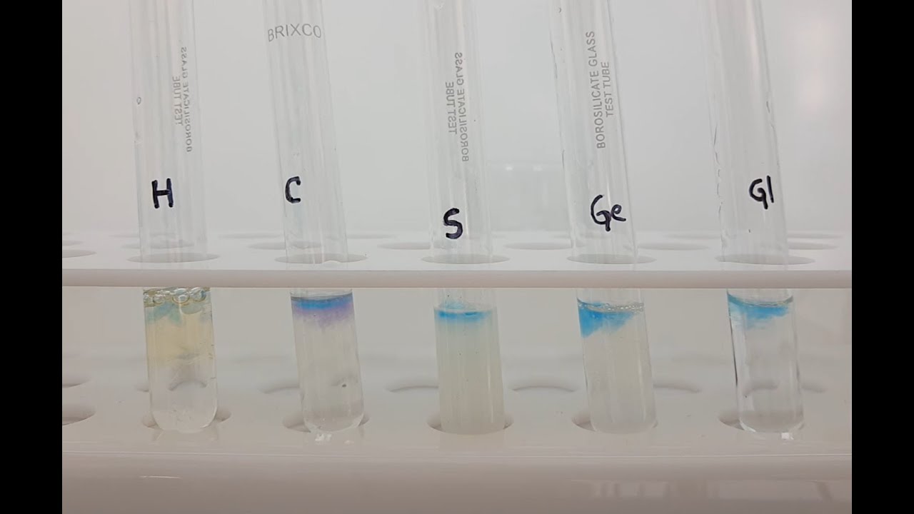 pruebas de identificacion de aminoacidos
