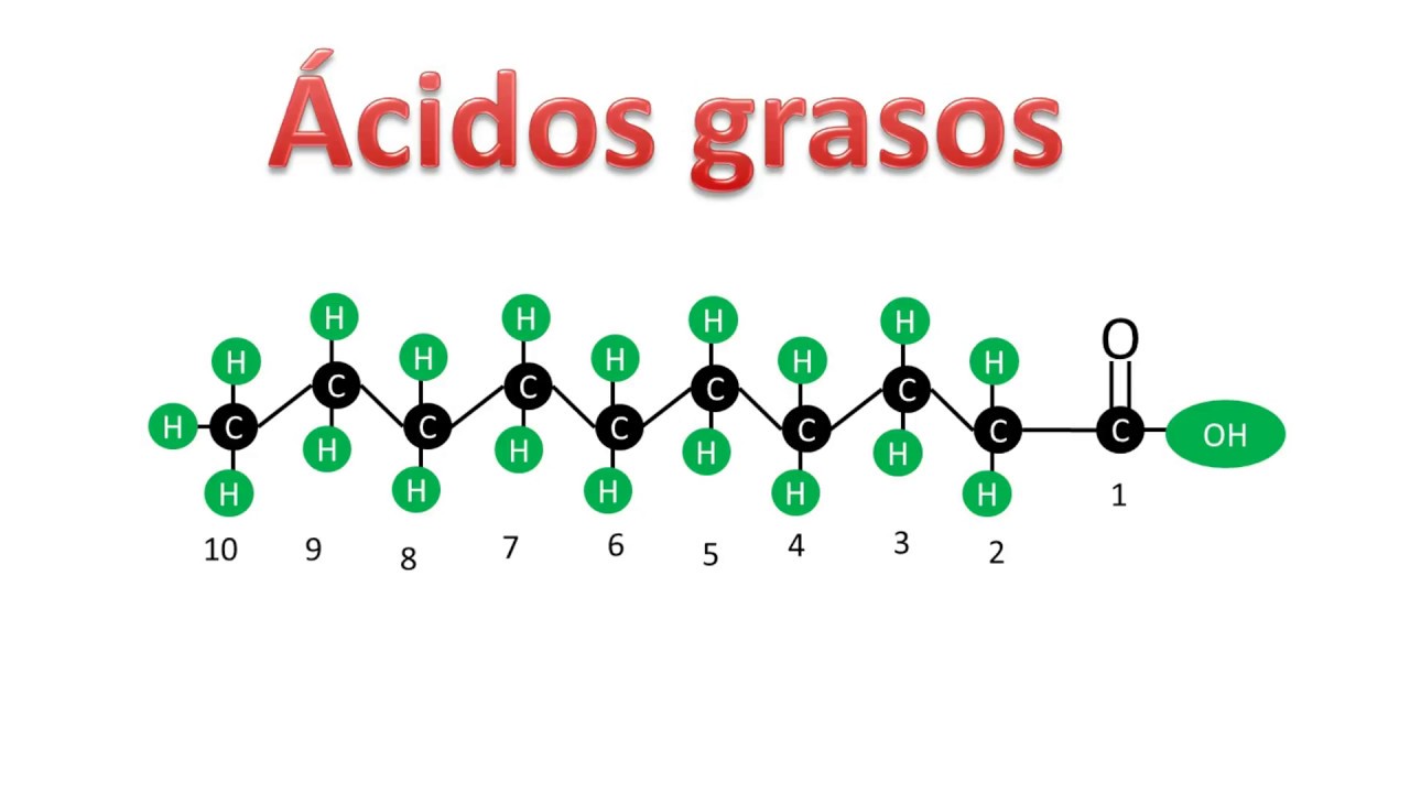 que acidos grasos son liquidos a temperatura ambiente