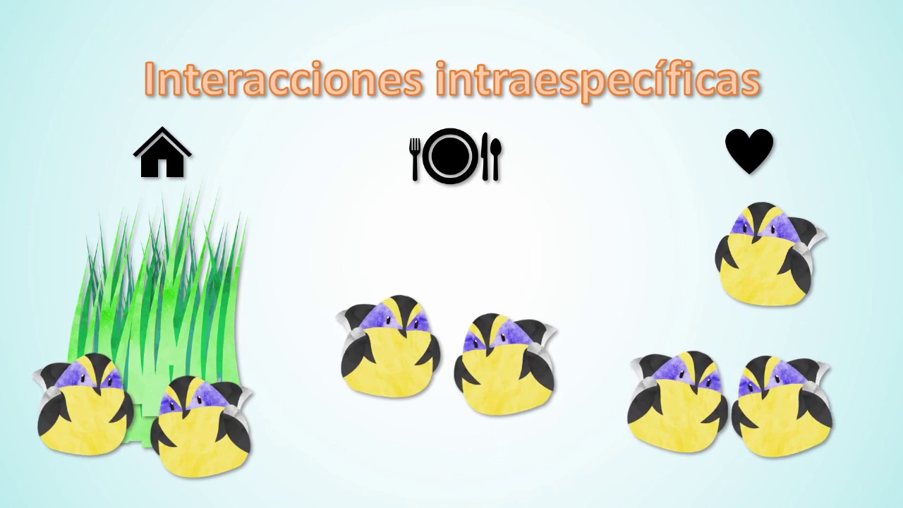 que son las interacciones ecologicas