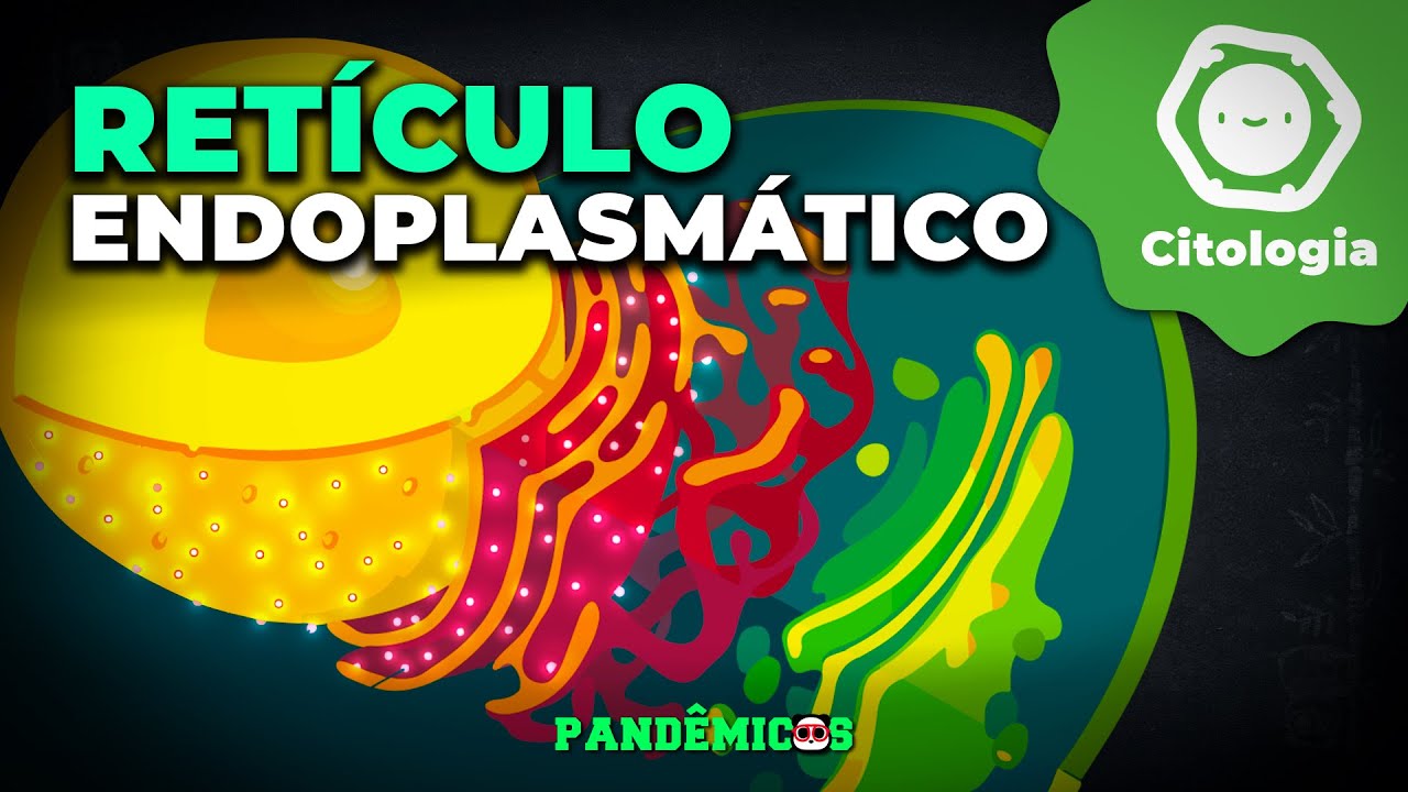 retículo endoplasmático rugoso célula animal o vegetal