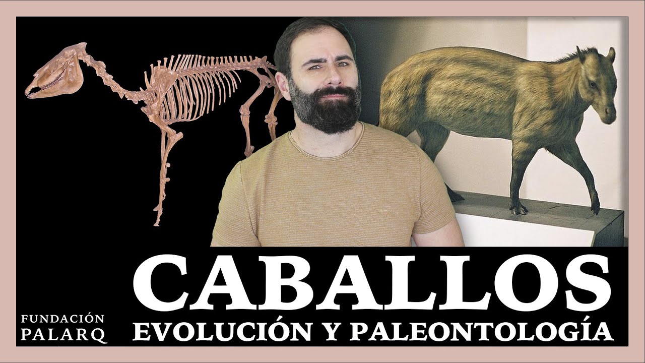 teoria de la evolucion del caballo