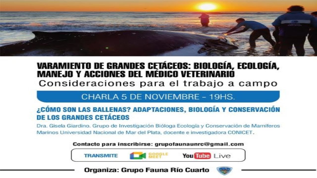 adaptaciones fisiológicas de la orca