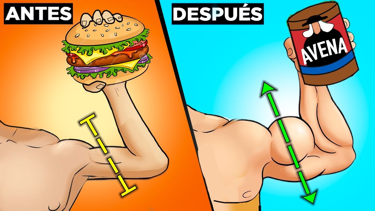 alimentos adecuados para desarrollar sistema muscular