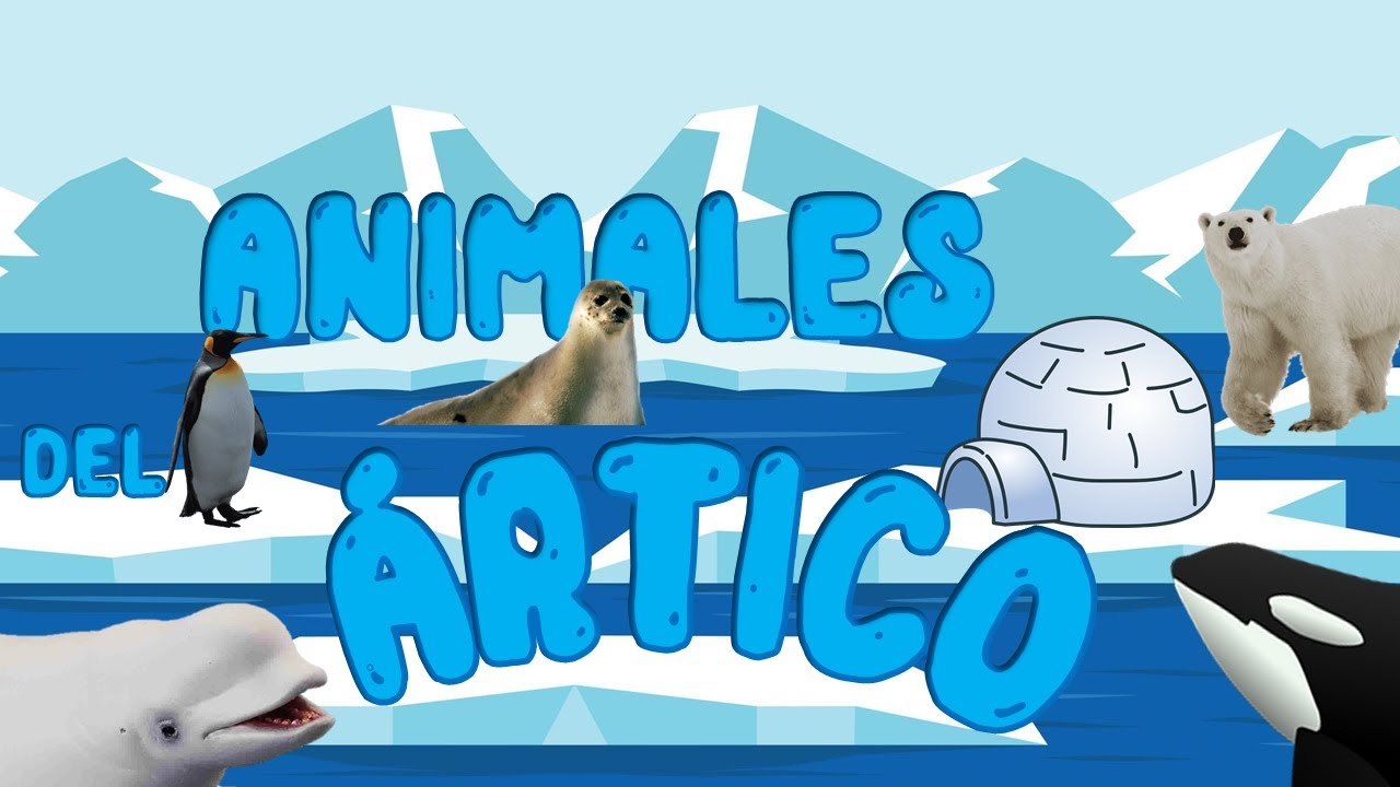 animales que viven en el clima polar